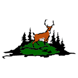 Deer Lake First Nation Logo