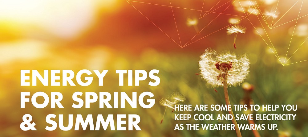 Spring Energy Tips