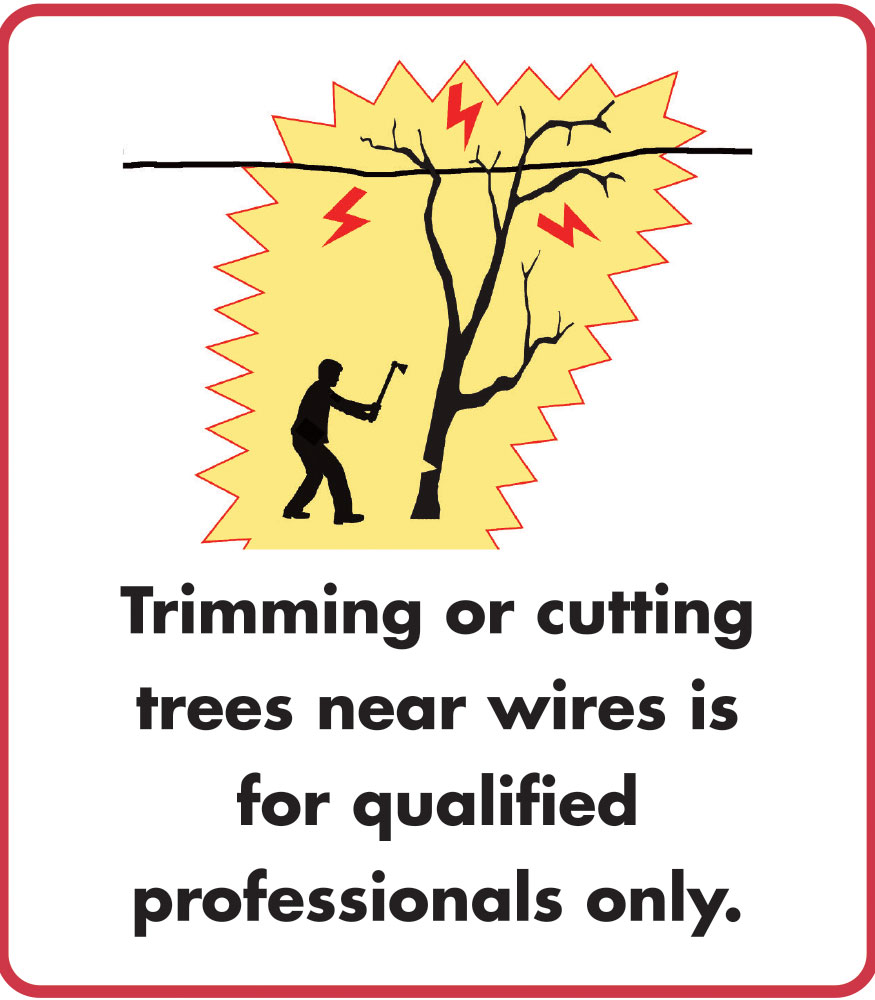 Cutting Trees